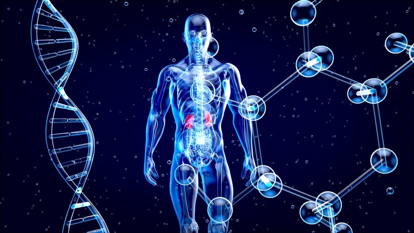 genetic screening of kidney disease